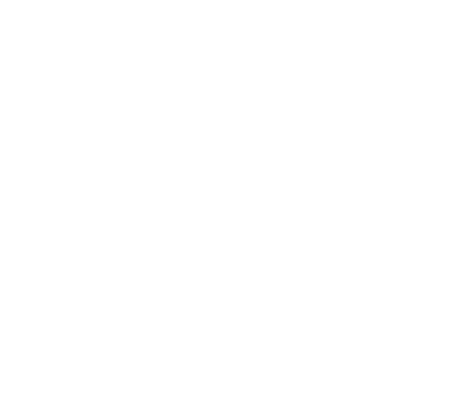 Logo2